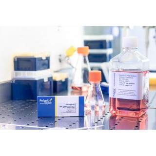 FectoCHO® Expression System