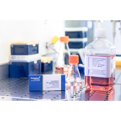 FectoCHO® Expression System