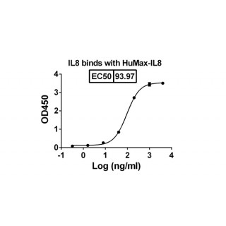 ABX-IL8 (IL8) Antibody, Monoclonal
