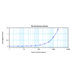 Artemin Antibody