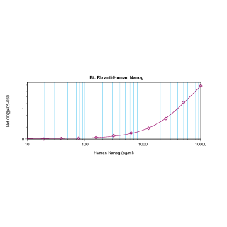 Nanog Antibody (biotin)