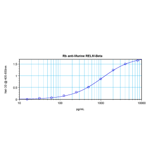 RELMb Antibody