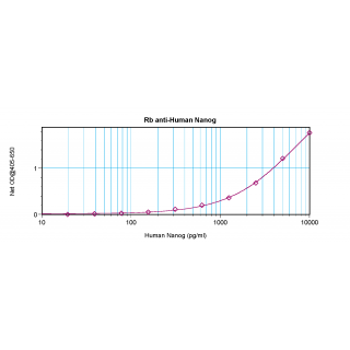 Nanog Antibody