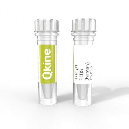 recombinant human/bovine/porcine TGF-β1 PLUS protein