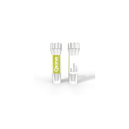 recombinant human EGF protein