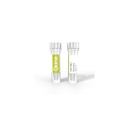 recombinant human HGF recombinant human HGF (NK1) protein