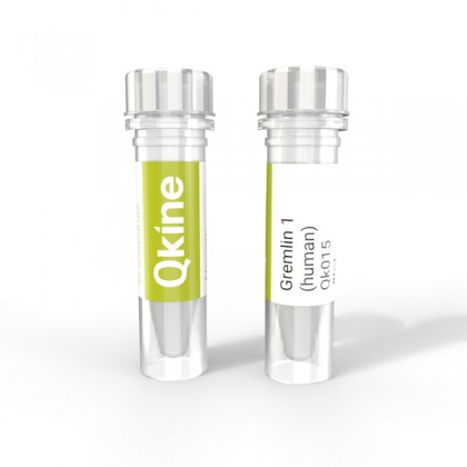 recombinant human/bovine/porcine Gremlin 1 protein