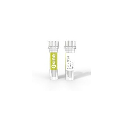 recombinant human FGF-2 (bFGF) 154 aa protein