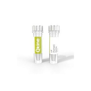 recombinant human LIF protein