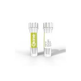 recombinant human FGF-9 protein