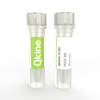recombinant human PDGF-BB protein
