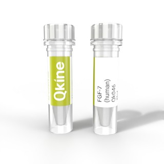 recombinant human KGF (FGF-7) protein