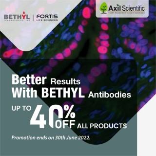 Bethyl 40%Off