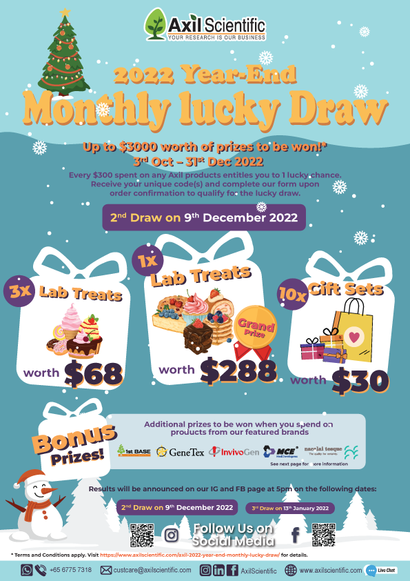Year-End-Promo-Flyer-NOV-p1.png