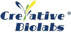 Creative Biolabs