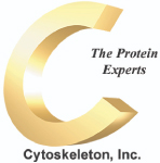 Cytoskeleton