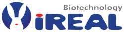 iReal Biotechnology
